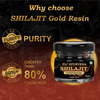 Fij Ayurveda Shilajit/Shilajit Gold Resin (Semi Liquid)|Ashwagandha, Black Musli & 24k Gold - 3x20gm