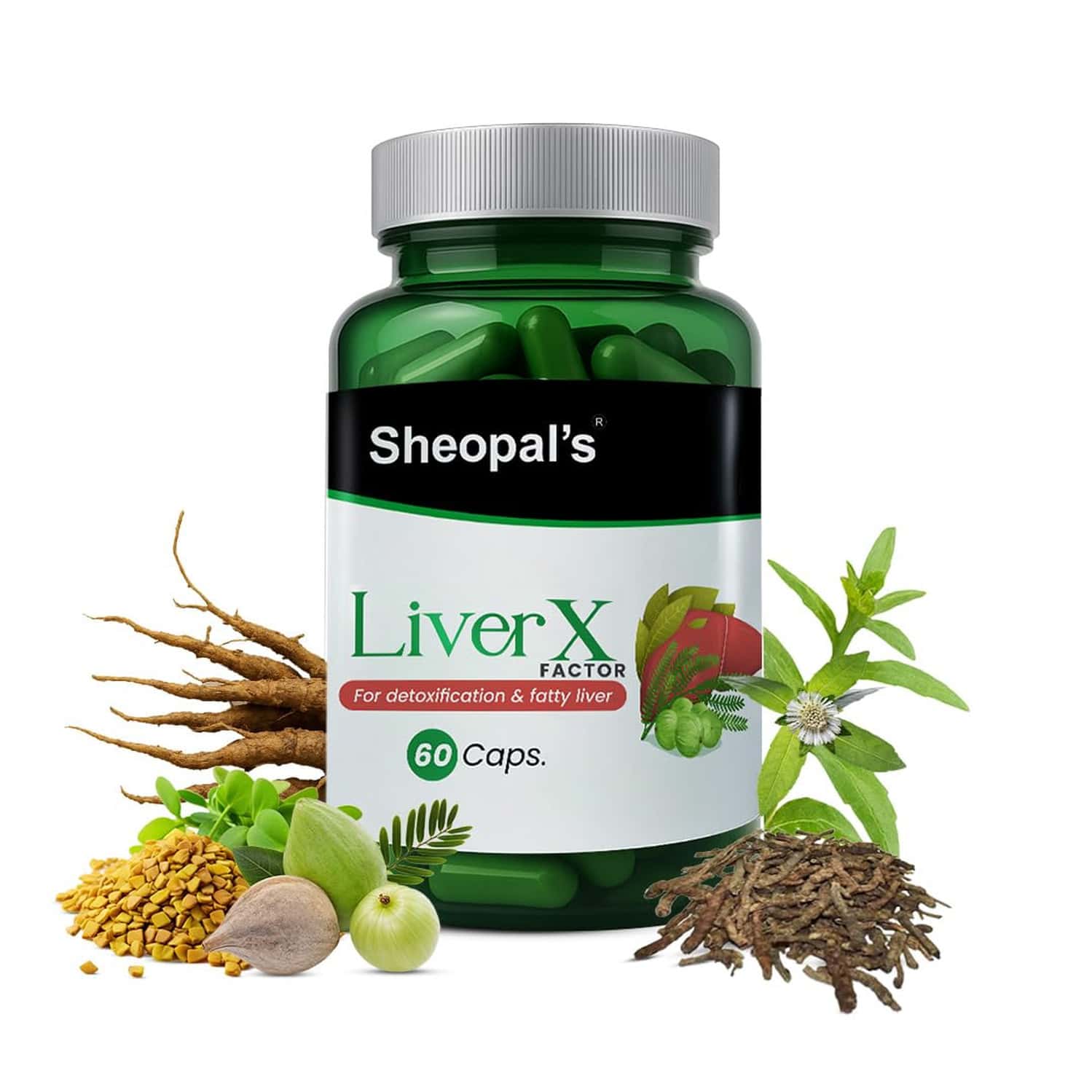 Sheopal's Liver X Factor Ayurvedic Fatty Liver Supplement | 60 Capsules | Pack Of 1