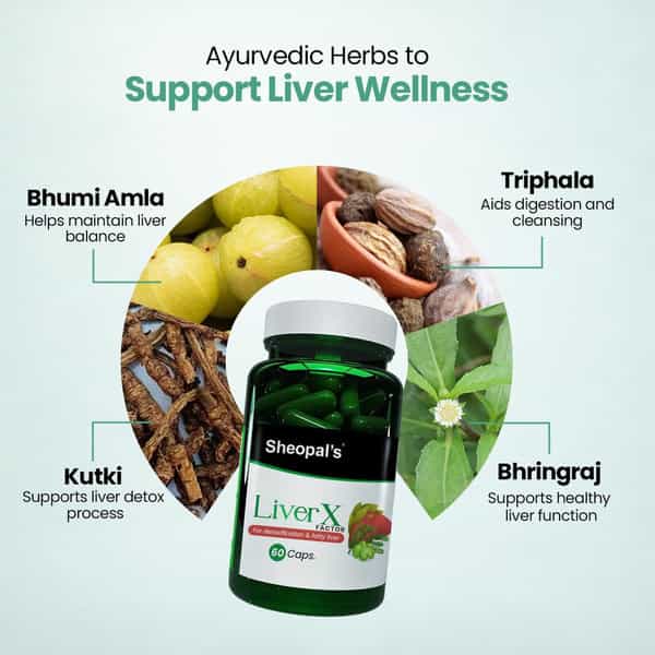 Sheopal's Liver X Factor Ayurvedic Fatty Liver Supplement | 60 Capsules | Pack Of 1