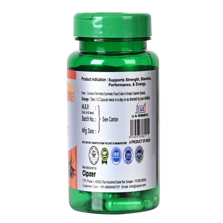 Cipzer Caterpillar Keeda Jadi 10 Pills | Supports Energy| Immunity & Overall Wellness