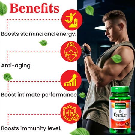 Cipzer Caterpillar Keeda Jadi Elevate Your Energy Levels & Strengthen Your Immune System-10 Capsules