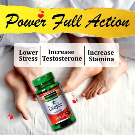 Cipzer Caterpillar Keeda Jadi 10 Pills | Supports Energy| Immunity & Overall Wellness