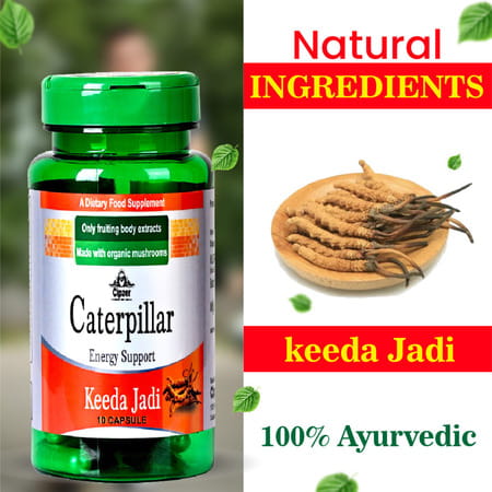 Cipzer Caterpillar Keeda Jadi Elevate Your Energy Levels & Strengthen Your Immune System-10 Capsules