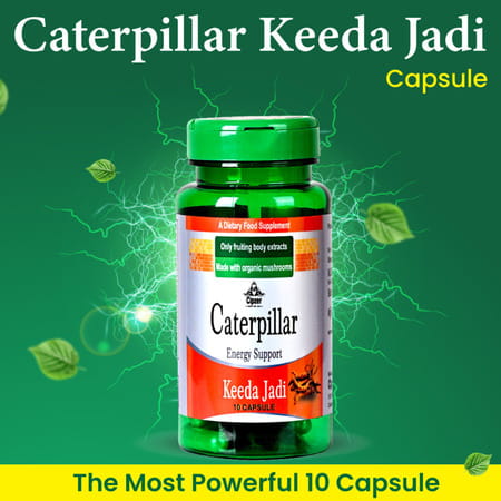 Cipzer Caterpillar Keeda Jadi Elevate Your Energy Levels & Strengthen Your Immune System-10 Capsules