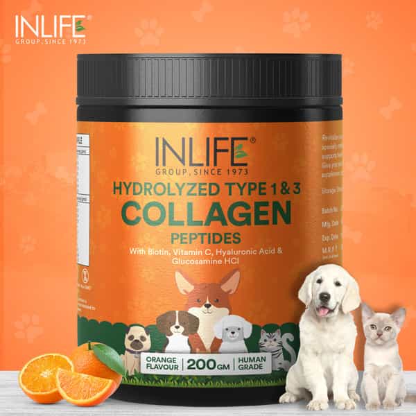 Inlife Collagen For Dogs & Cats| Hydrolyzed Collagen Powder For Skin | Coat & Joints | 200G (Orange)