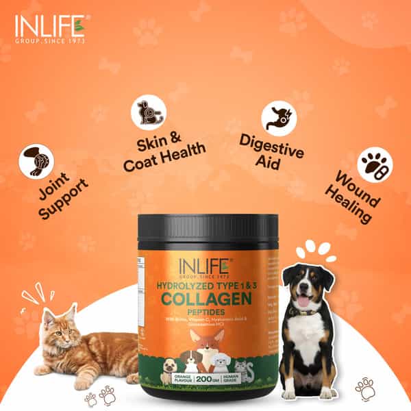 Inlife Collagen For Dogs & Cats| Hydrolyzed Collagen Powder For Skin | Coat & Joints | 200G (Orange)