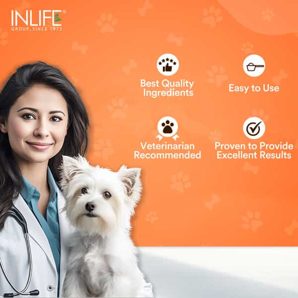 Inlife Collagen For Dogs & Cats| Hydrolyzed Collagen Powder For Skin | Coat & Joints | 200G (Orange)