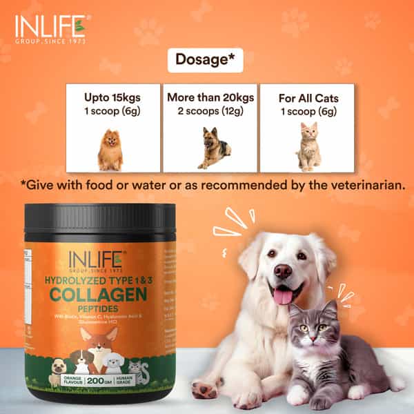 Inlife Collagen For Dogs & Cats| Hydrolyzed Collagen Powder For Skin | Coat & Joints | 200G (Orange)