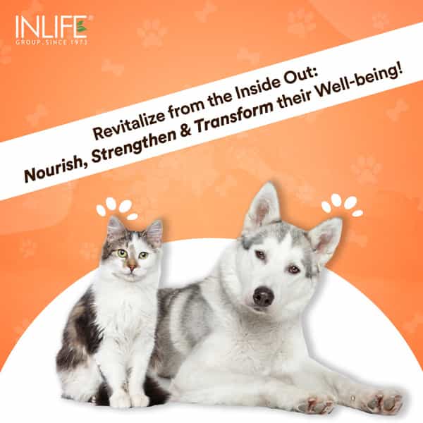 Inlife Collagen For Dogs & Cats| Hydrolyzed Collagen Powder For Skin | Coat & Joints | 200G (Orange)