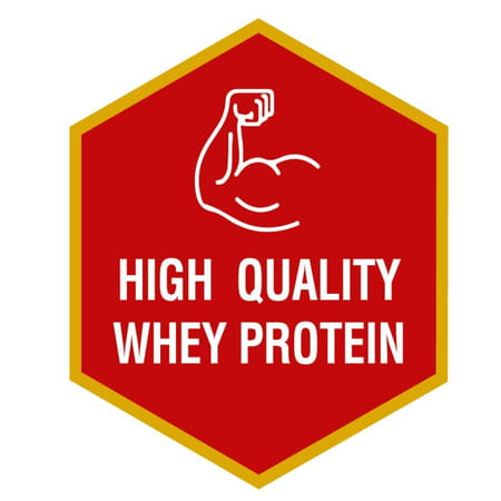 Maxvida High Protein To Help Build Muscle Mass And Strength In Adults & Elderly Vanilla Jar 400 Gm