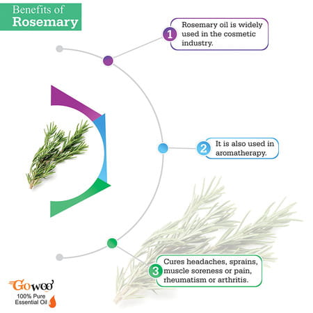 Go Woo 100% Pure Rosemary Oil - Therapeutic Grade 30 Ml