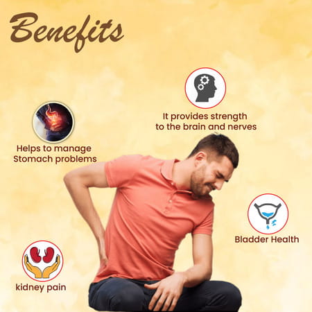 Cipzer Falshifa 60 Capsules Support Kidney Health | Relieves Joint & Kidney Pain | Aids Uti Recovery