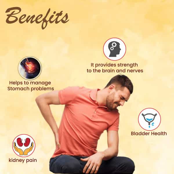 Cipzer Falshifa 60 Capsules Support Kidney Health | Relieves Joint & Kidney Pain | Aids Uti Recovery