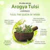 Arogya Tulsi Lozenges (Ginger Mint Flavour) 6 Tab | Cough & Sore Throat (Pack Of 20)