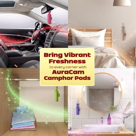 Auracam Gold Standard Camphor Pod Cone (Oudh) - Set Of 4