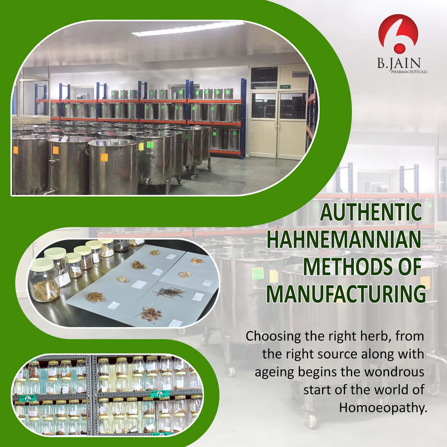 Bjain Azadirachta Indica Q Mother Tincture-30ml