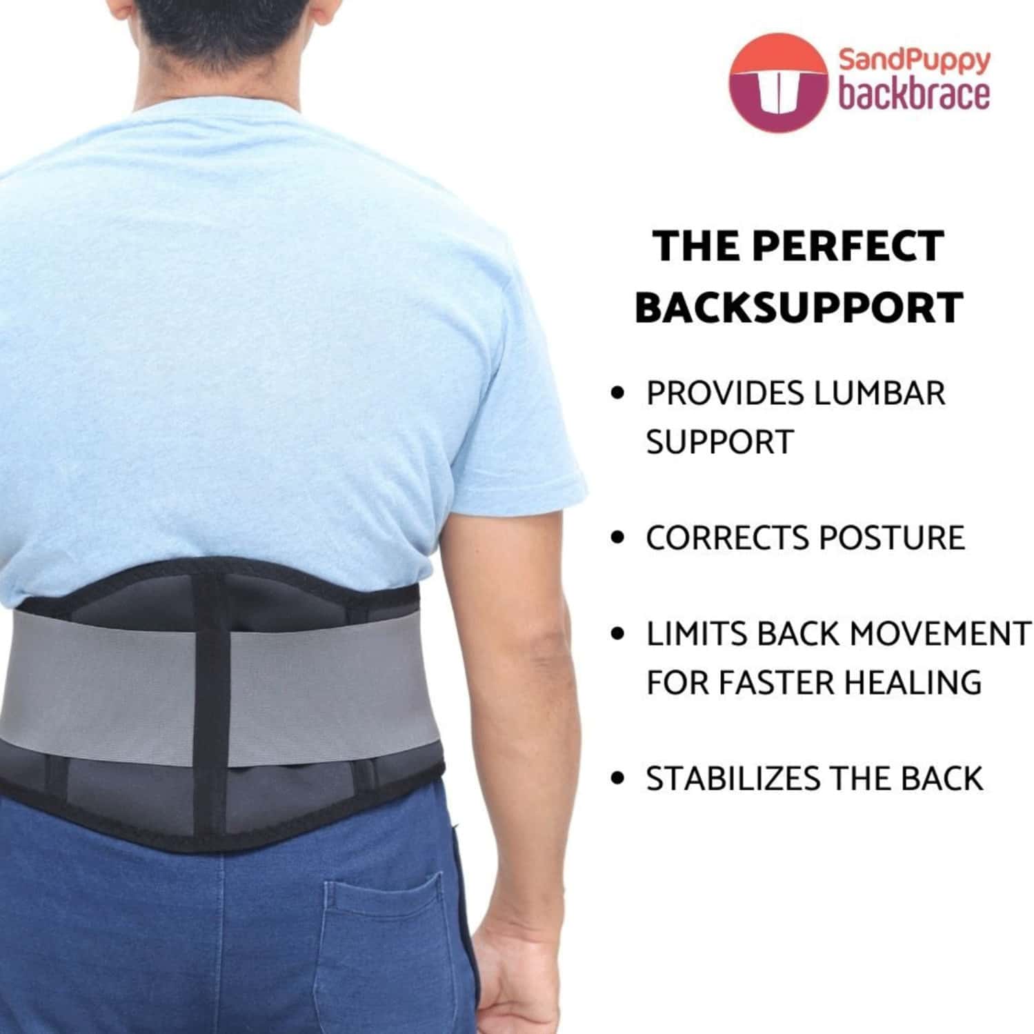 Buy SANDPUPPY BACKBRACE XXL FLEXIBLE BACK SUPPORT BELT LUMBAR