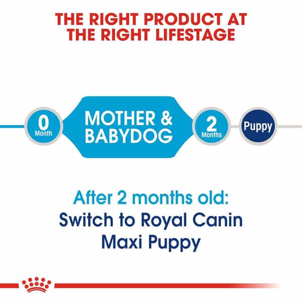 Royal Canin Maxi Starter Dog Food 1 Kg