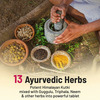 Gynoveda Liver Detox Ayurvedic Tablets. Kutki Protects From Damage Caused By Alcohol 240 Tablets