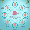 Floren Reusable Menstrual Cup (Small) With Menstural Cup Wash (200Ml)