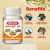 Baidyanath Ashwagandhadi Churna 120 Gm