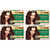 Streax Ultralights Hair Colour Highlight Kit | Brown Hair Colour | Hazel Brown 120 Ml X Pack Of 2