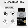 Earth King Ashwagandha Capsule For Men & Women - 500mg 60 Capsules (Pack Of 2)