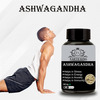 Earth King Ashwagandha Capsule For Men & Women - 500mg 60 Capsules (Pack Of 2)