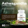 Oribite Ashwagandha 1500mg Capsules For Stress Relief 60 Capsules