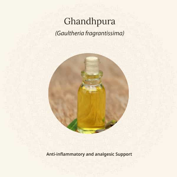 Amarantha Herbal Mouthwash (Pack Of 3)