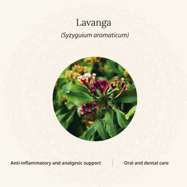 Amarantha Herbal Mouthwash (Pack Of 3)