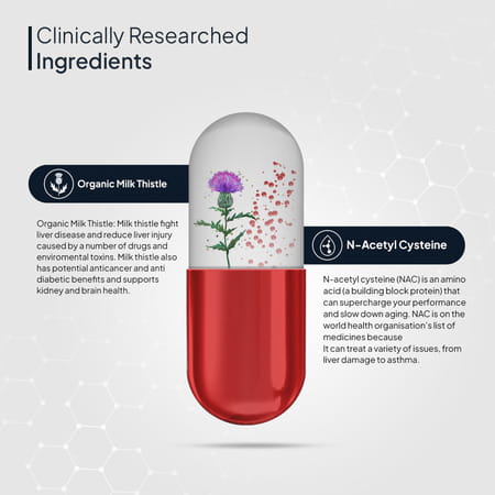 Miduty Liver Detox - Milk Thistle With Nac 900mg For Fatty Liver - Pigmentation -Detox -60 Capsules