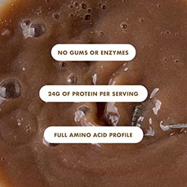 Cosmix No- Nonsense Plant Protein - Mint Cacao 500G (Pack Of 1)
