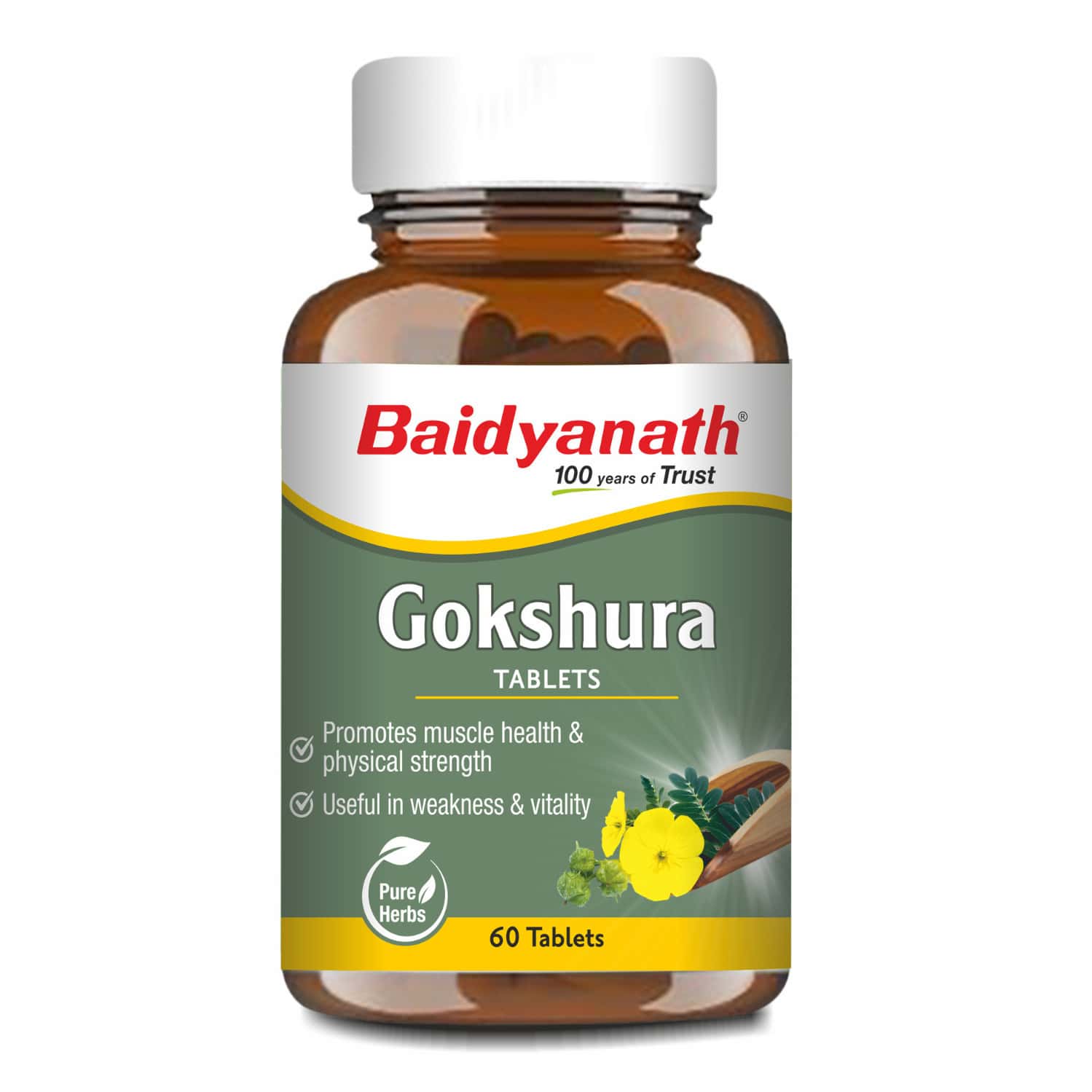 Baidyanath Gokshura Tablets | Supports Strength & Vitality - 60 Tablets