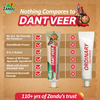 Zandu Dantveer Advanced Ayurvedic Toothpaste Fights 9 Dental Problems 200 Gm