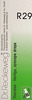 Dr. Reckeweg R 29 Vertigo Syncope Drops 22 Ml