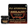 Fij Ayurveda Shilajit/Shilajit Gold Resin (Semi Liquid)|Ashwagandha, Black Musli & 24K Gold - 1X20gm