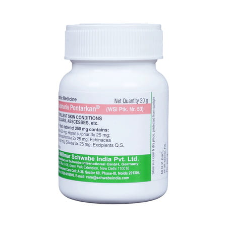 Dr. Willmar Schwabe India Hepar Sulphuris 20 Gm