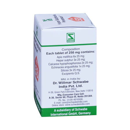 Dr. Willmar Schwabe India Hepar Sulphuris 20 Gm