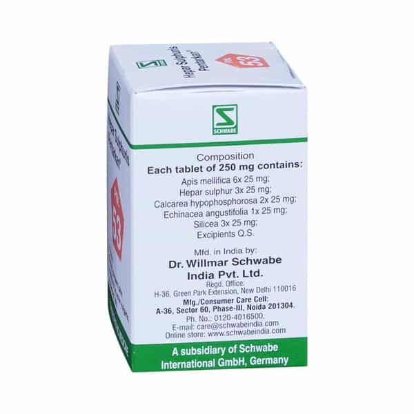 Dr. Willmar Schwabe India Hepar Sulphuris 20 Gm
