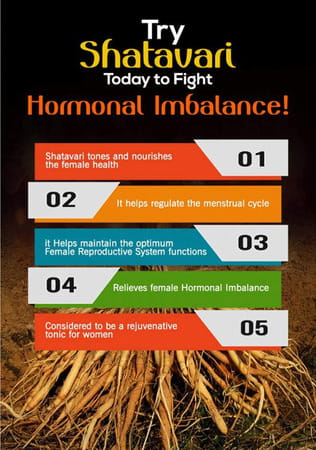 Way2herbal Shatavari Root Powder For Women'S Health - 1 Kg (Pack Of 2)