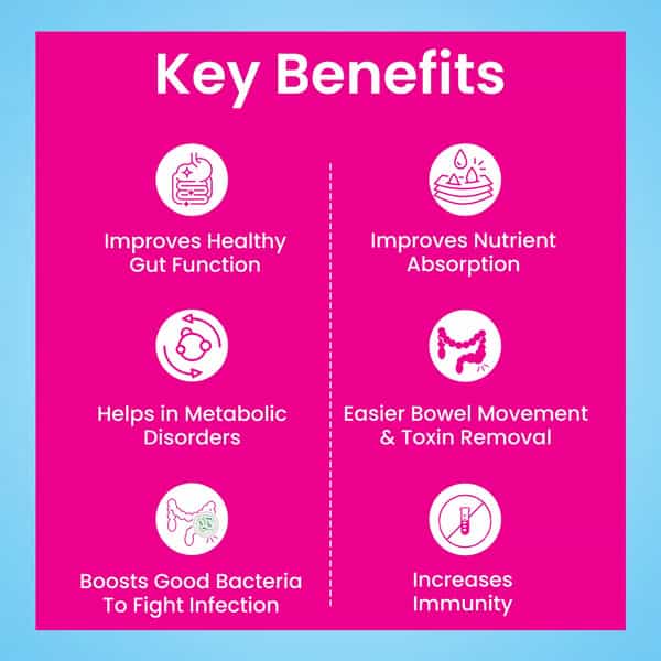 Morepen Intebact Insta 5Bn Cfu |Probiotics Supplement For Gut Health | Vanilla Flavour - 6 Sachets