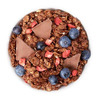 True Elements Dark Chocolate Granola 30 Gms