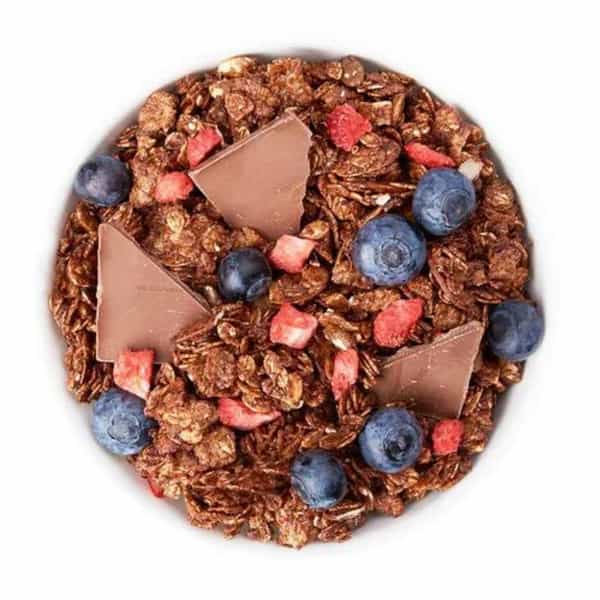 True Elements Dark Chocolate Granola 30 Gms