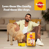 Pedigree Adult Dry Dog Food | Chicken | Egg & Rice | 10 Kg | Contains 37 Essential Nutrients