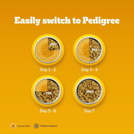 Pedigree Adult Dry Dog Food | Chicken | Egg & Rice | 10 Kg | Contains 37 Essential Nutrients
