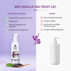 Ayouthveda Purple Rice Shampoo | Rice Water & Kernel Protein To Strengthen & Smoothen Hair 200 Ml