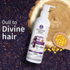 Ayouthveda Purple Rice Shampoo | Rice Water & Kernel Protein To Strengthen & Smoothen Hair 200 Ml