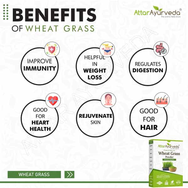 Attar Ayurveda 100% Natural Wheat Grass Powder (100 Gram)