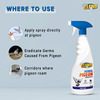 Cleno Herbal Pigeon Repellent Spray 450 Ml (Ready To Use)